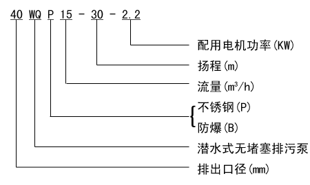 WQP不銹鋼排污泵型號(hào)示意圖